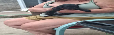 Mixed Breed 3
