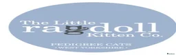 Ragdoll cats for sale: Stunning GCCF Ragdoll Kittens in Halifax - Advert 1