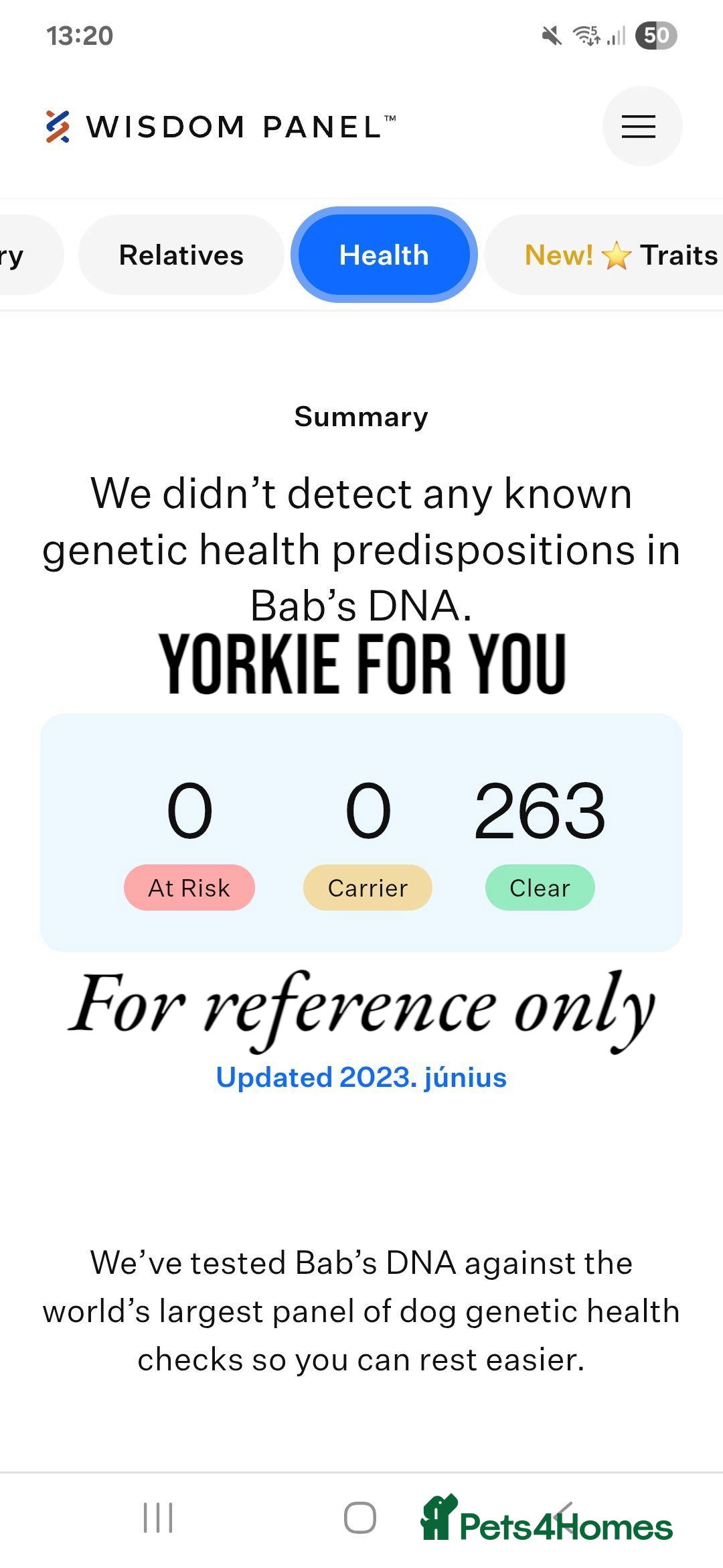 Yorkshire Terrier dogs for sale: DNA TESTED Father - Yorkshire Terrier puppies  - Image 3