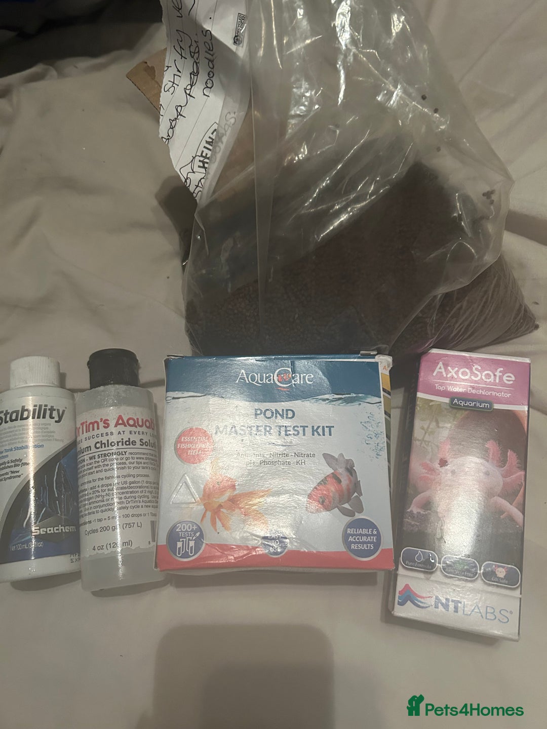 Axolotl reptiles for sale: Pair of axylotls - Advert 8