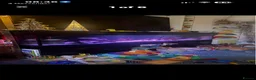 Tetras fish for sale: Full aquarium set up 320L - Advert 1