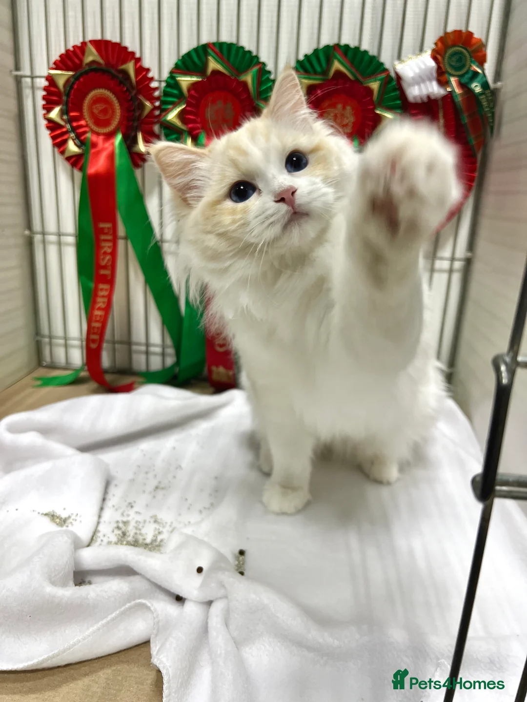 Gallery Image {{count}}