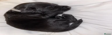 Cocker Spaniel 4