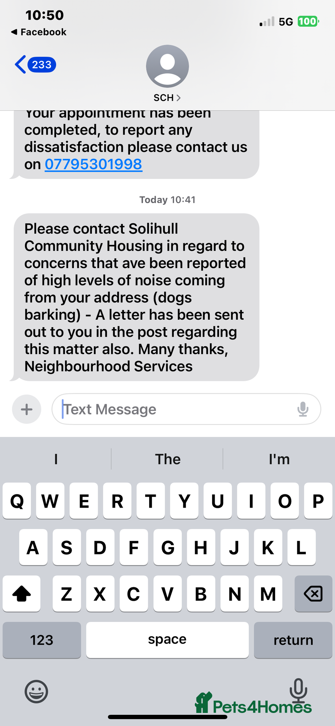 Mixed Breed dogs for sale: 4 pups - Advert 6