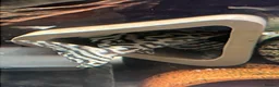 Plecos fish for sale: L236sw proven breeding adults.  - Advert 8