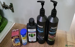 Tetras fish for sale: Fish Tank (200L) - Image 10