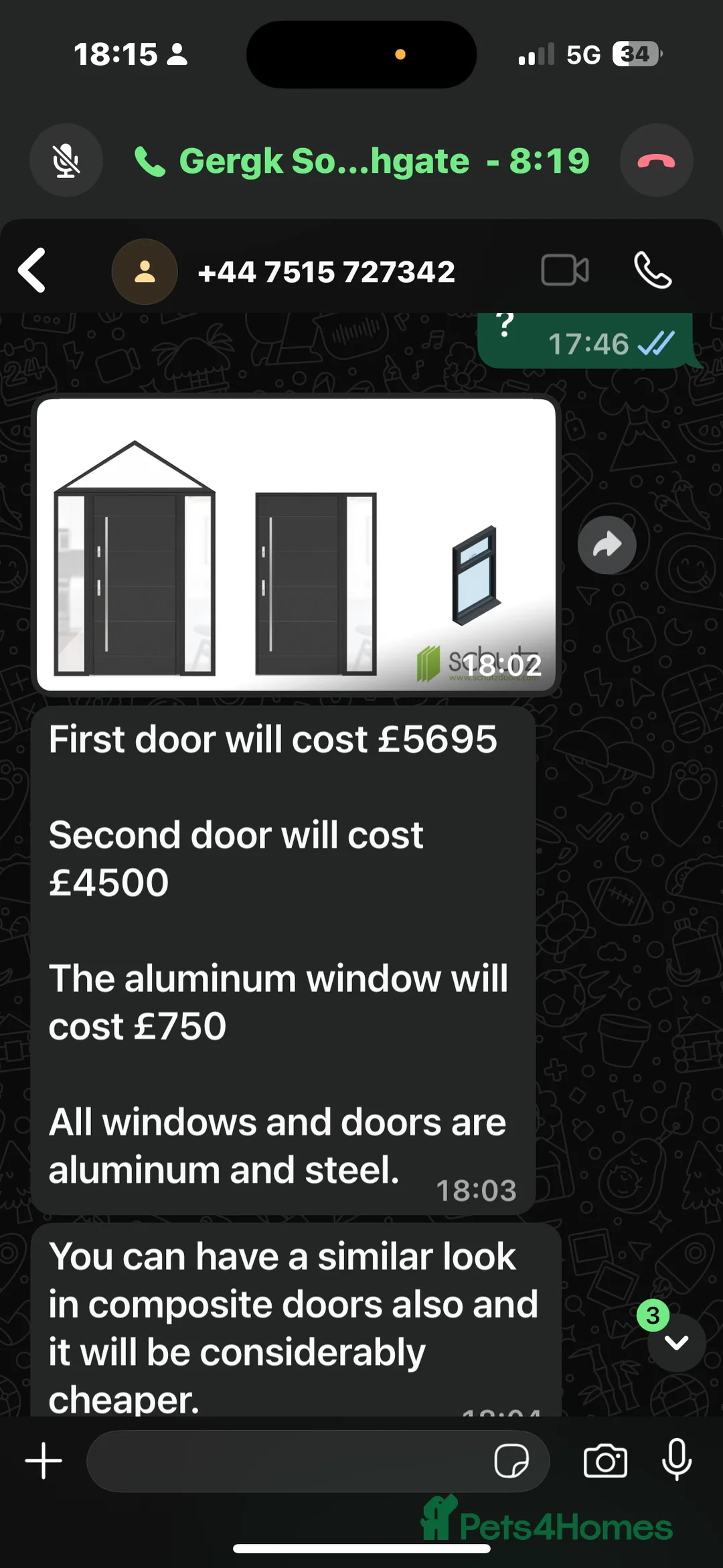 Pomeranian dogs for stud: Pomeranian for stud - Advert 4