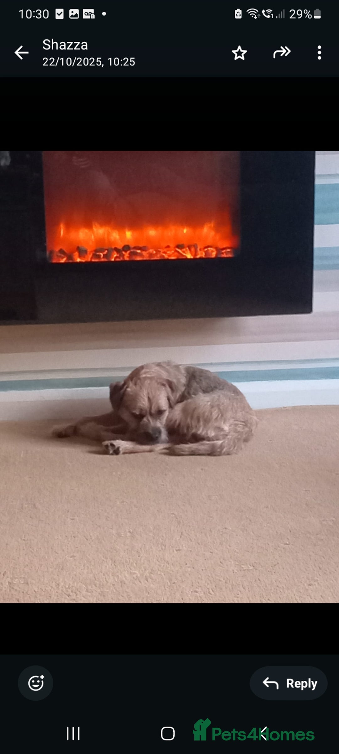 Gallery Image {{count}}