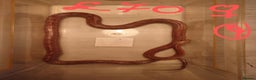 Snake reptiles for sale: My collection of corn snakes. - Advert 17