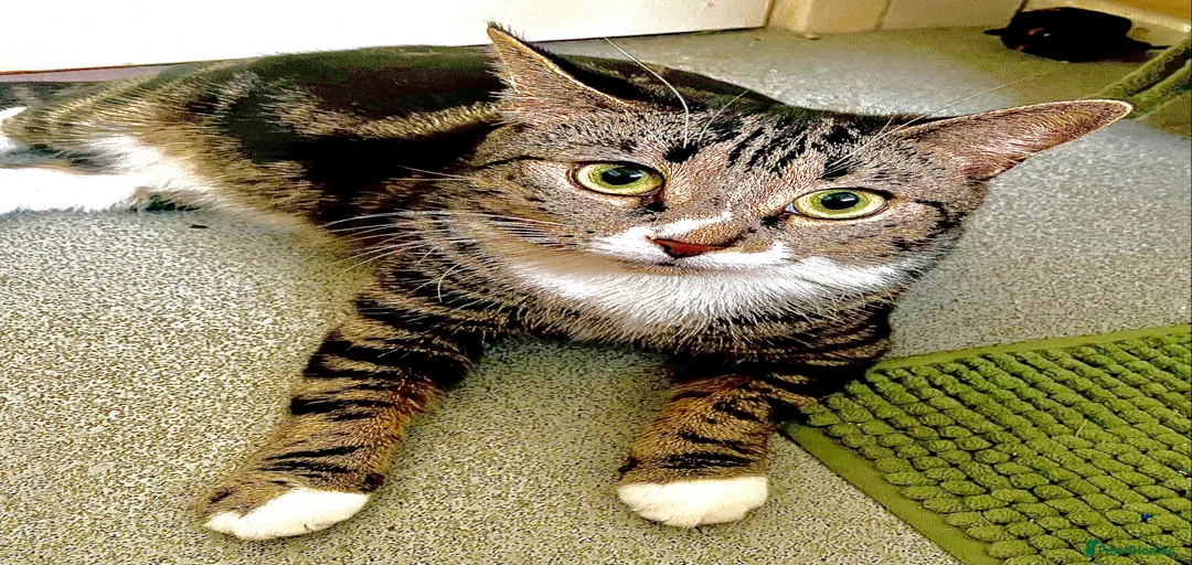 Gallery Image {{count}}