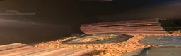 Hermann Tortoise reptiles for sale: Tortoise for sale  in Coventry - Advert 1