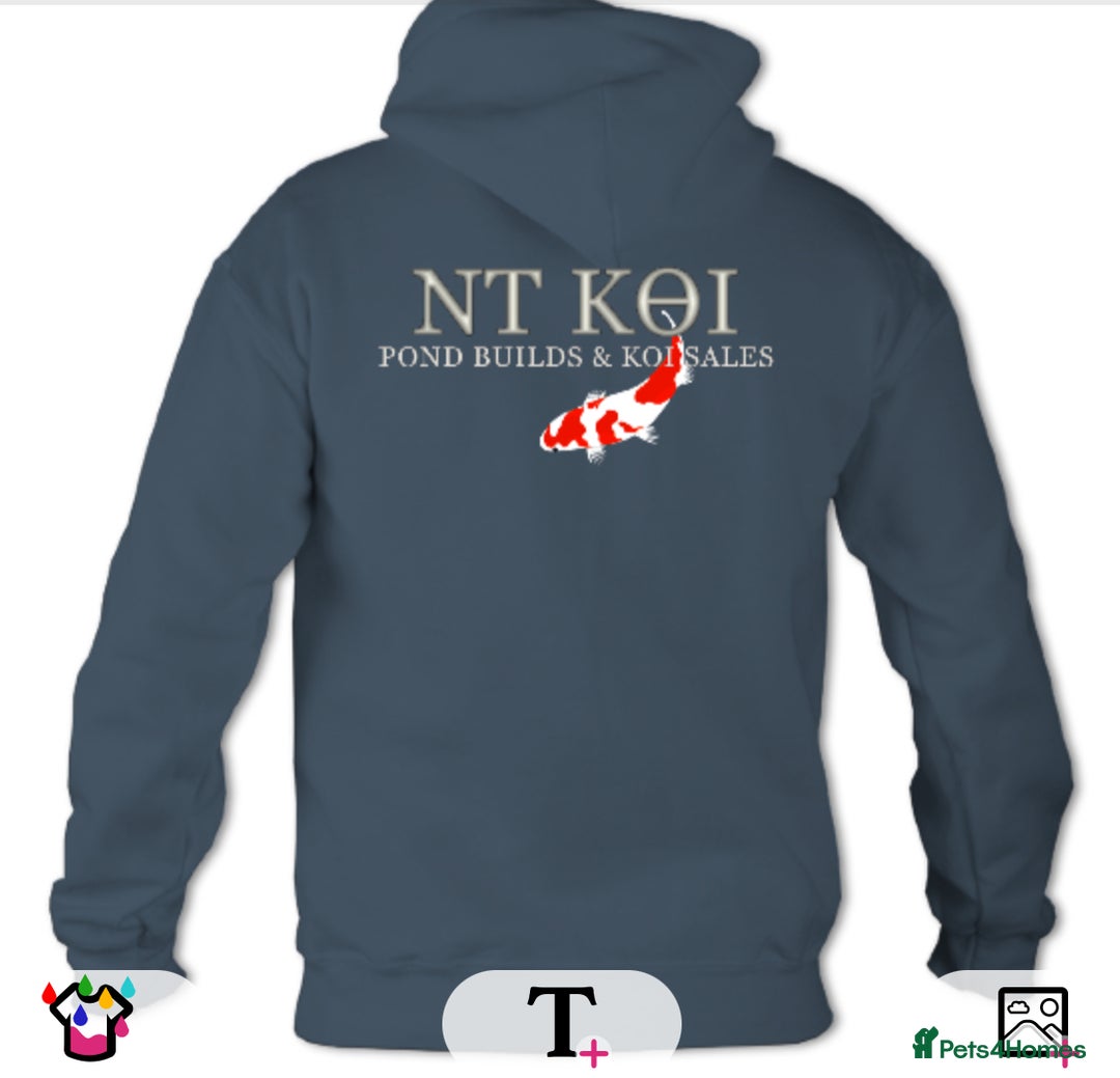Koi Carp fish for sale: Huge selection of Japanese Koi for sale - Image 18