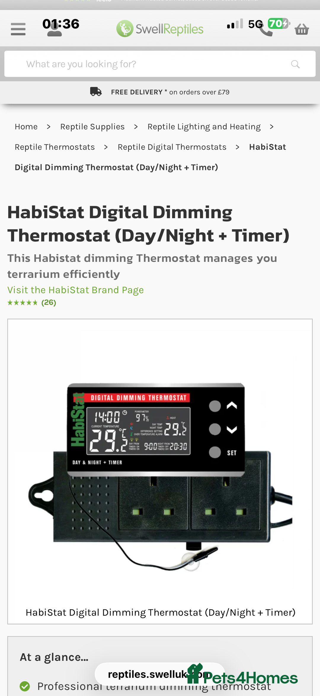 Leopard Gecko reptiles for sale: Full set up for sale including leopard Gecko  - Advert 10