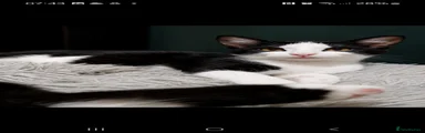 Mixed Breed 2