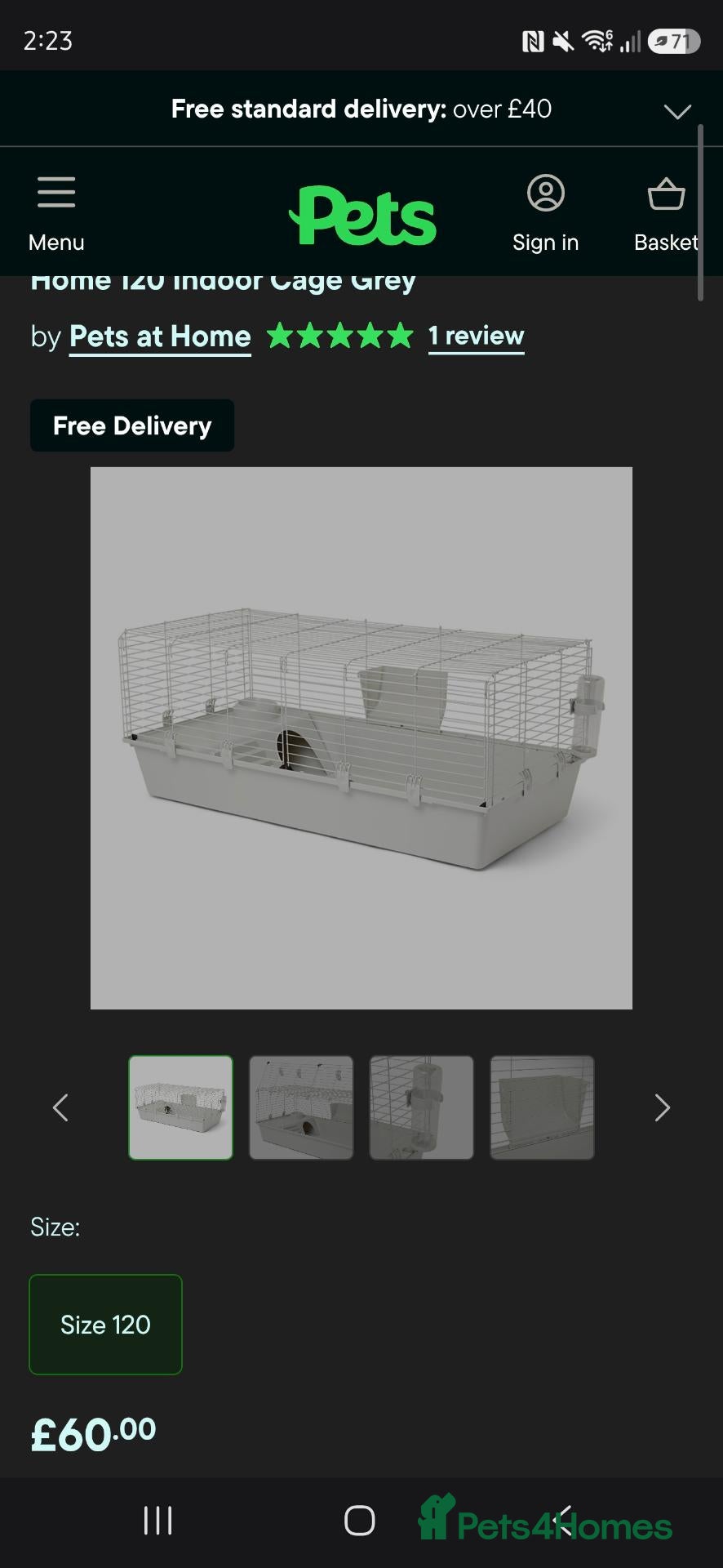 Mini Lop rabbits Female mini lop - Advert 2