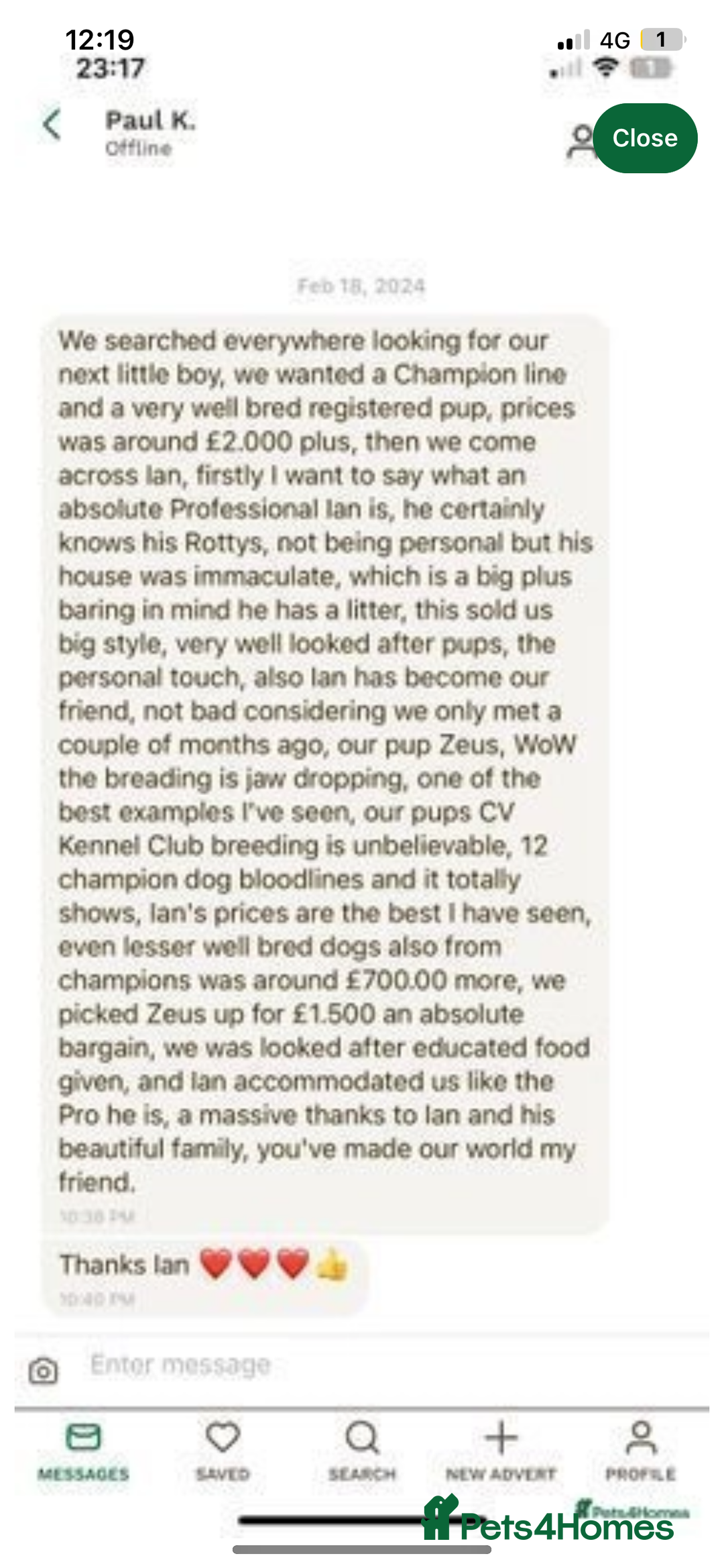 Rottweiler dogs for sale: 🏆(Kc)Champion bloodline Rottweiler puppies. - Image 37