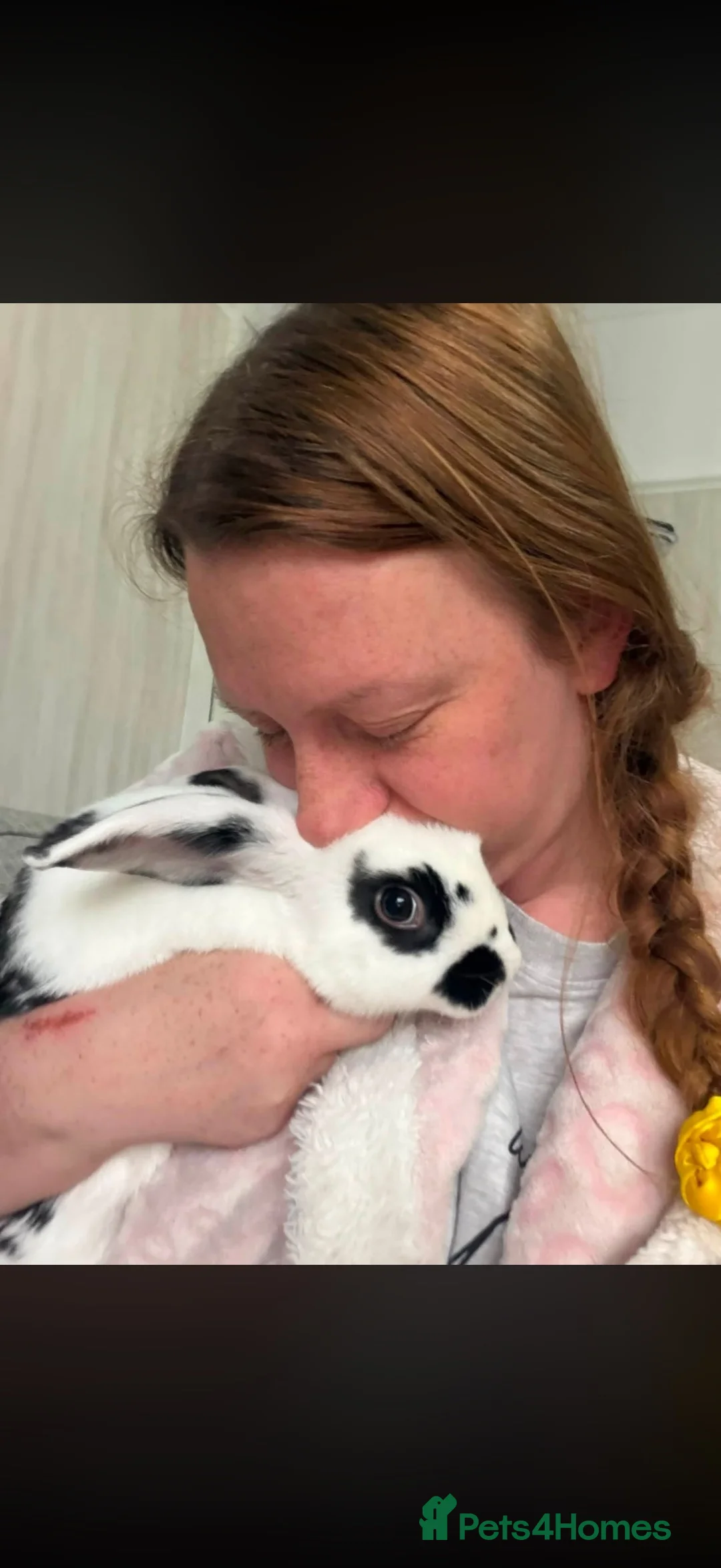 Mixed Breed rabbits for sale: Gorgeous female English spot X Dutch  - Advert 9