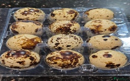 Quail poultry for sale: Quail eggs for hatching  - Image 3