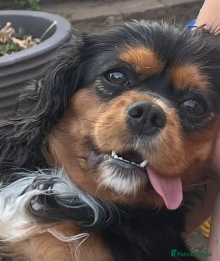 Gallery Image {{count}}