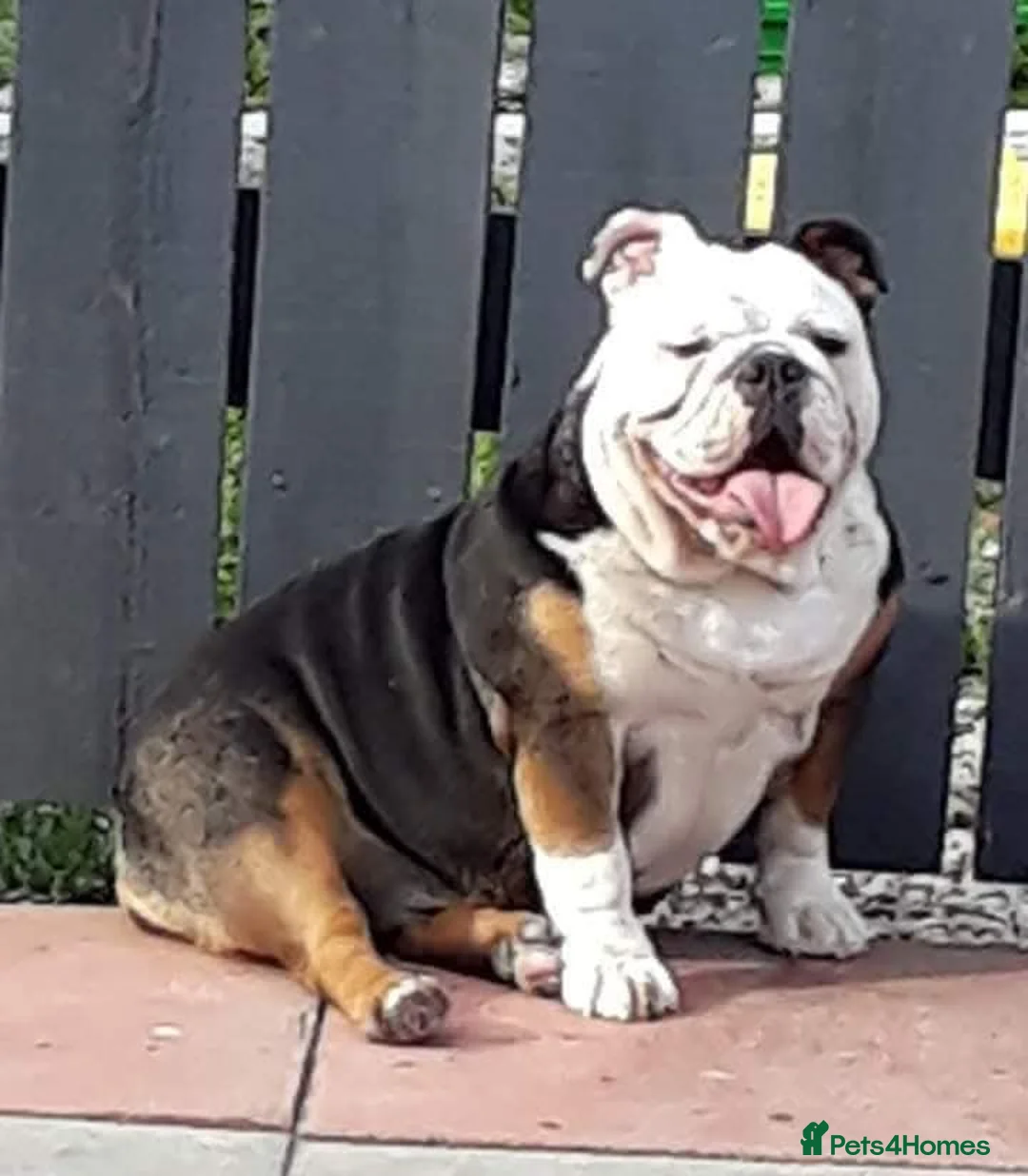 Gallery Image {{count}}