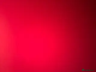 Mixed Breed cats Dndnejdjfjcjd - Advert 1