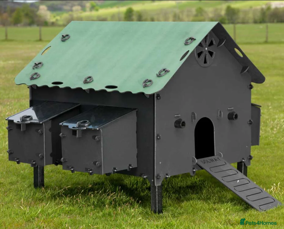 Chickens poultry for sale: Recycled Coop Run only  NO maintenance - Advert 18