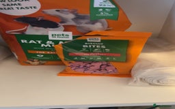 Rat rodents for sale: X2 male rats  - Image 8