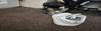 Tabby