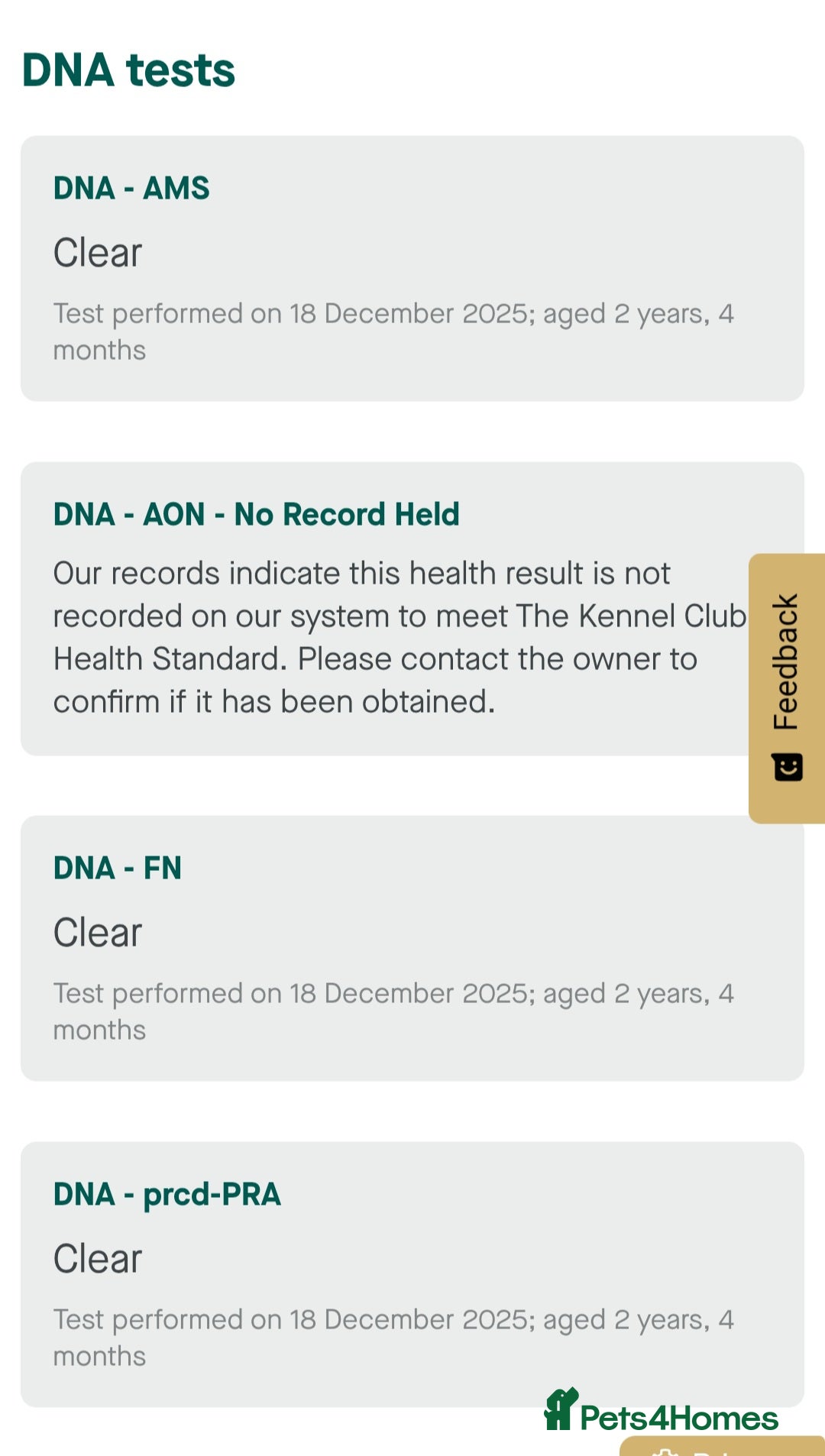 Cocker Spaniel dogs for stud:  Kc registered Cocker spaniel stud - Advert 8