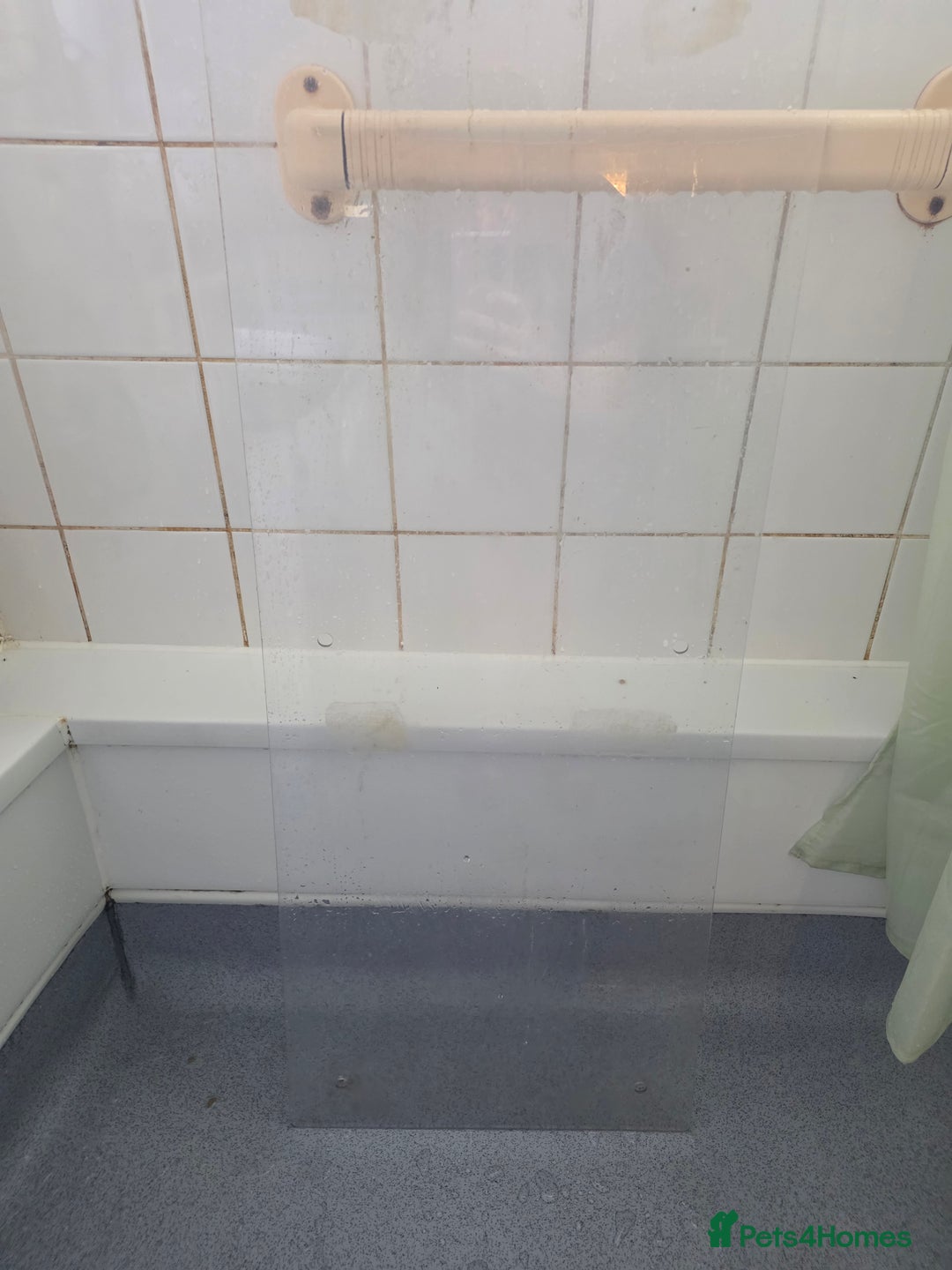 Shrimps fish for sale: Fishtank+accesories in Huntingdon - Advert 15