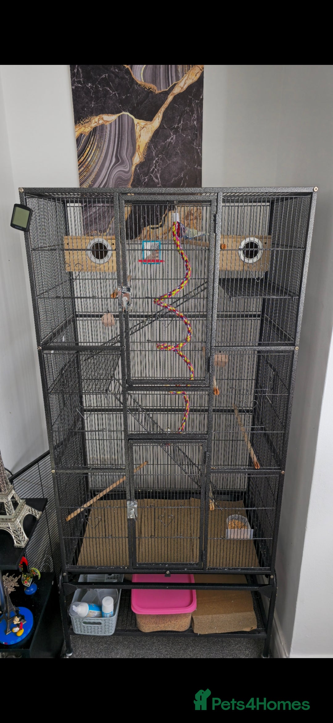 Budgerigars birds BIG CAGE  - Advert 20