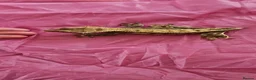 Gecko reptiles for sale: Mixed geckos - Advert 3