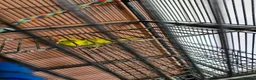 Parakeets birds for sale: Proven pair of kakarikis & Accessories  - Advert 5