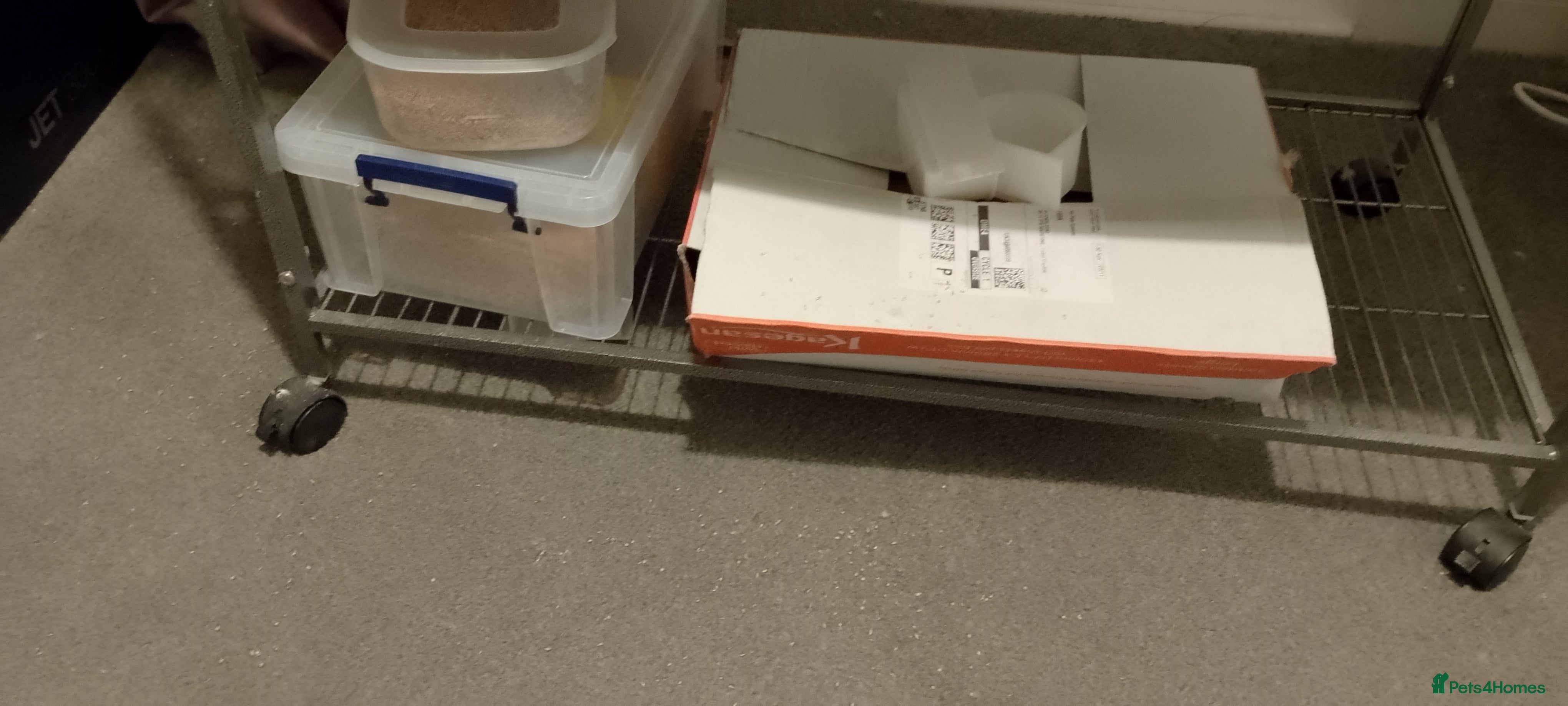 Budgerigars birds Last year budgies cages seed and sand sheets  - Advert 1