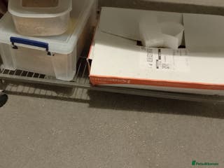 Budgerigars birds Last year budgies cages seed and sand sheets - Advert 1