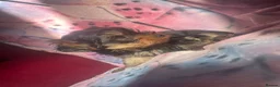 Yorkshire Terrier dogs for sale: 4 Beautiful Yorkshire Terrier Puppies  - Advert 20