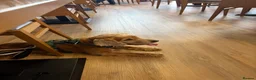 Cocker Spaniel dogs for sale: Stanley the spaniel in Hartlepool - Advert 2