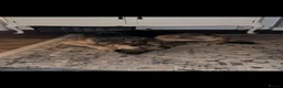 German Shepherd dogs for sale: German Shepherd - Jango  - Advert 16