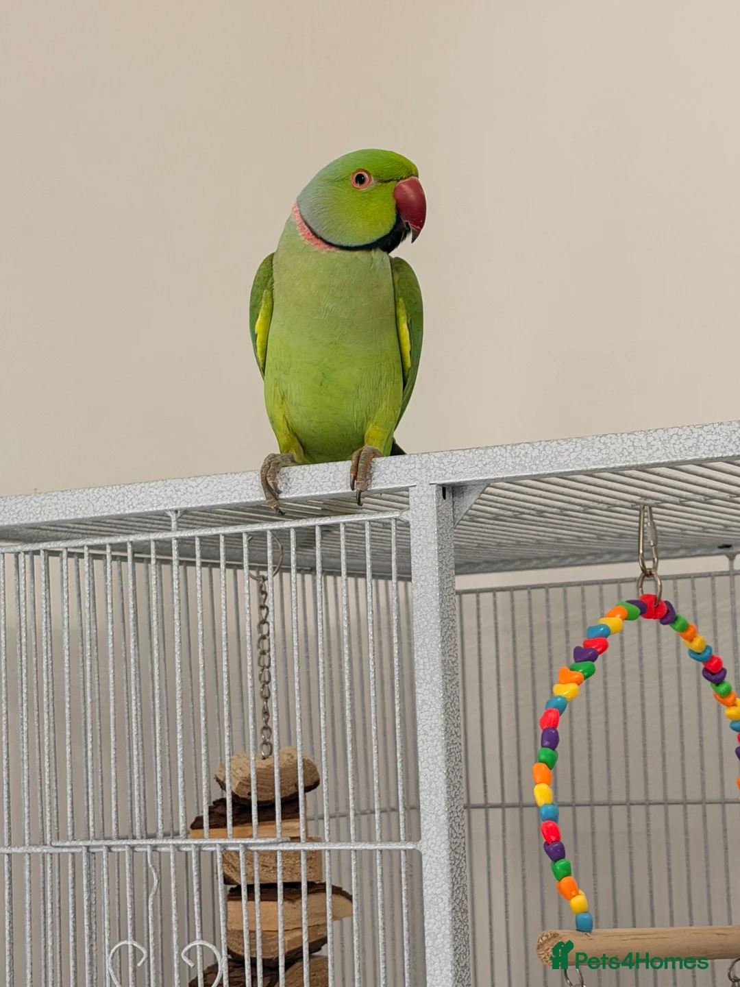 Gallery Image {{count}}