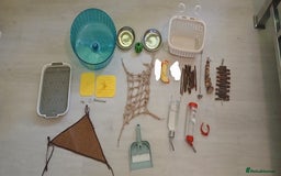 Rat rodents for sale: 🐀 Two pet rats and cage (with setup) 🐀  - Image 4