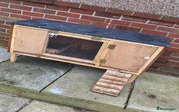 Chickens poultry for sale: 4 egg laying hens for sale with chicken coop  - Image 3