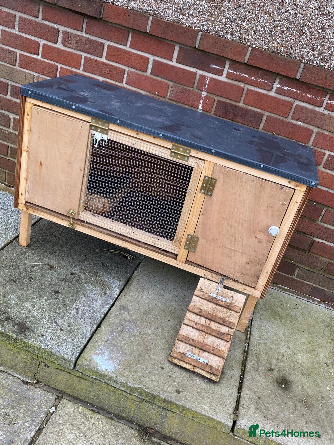 Chickens poultry for sale: 4 egg laying hens for sale with chicken coop  - Image 3