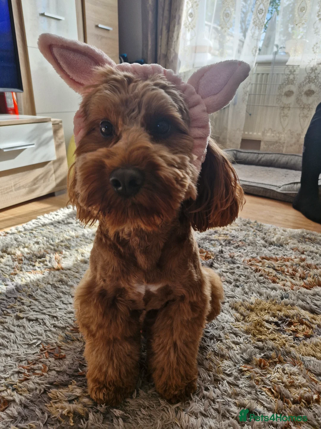 Gallery Image {{count}}