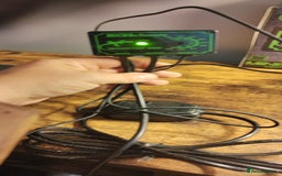 Gecko reptiles for sale: Full setup komodo  - Image 11