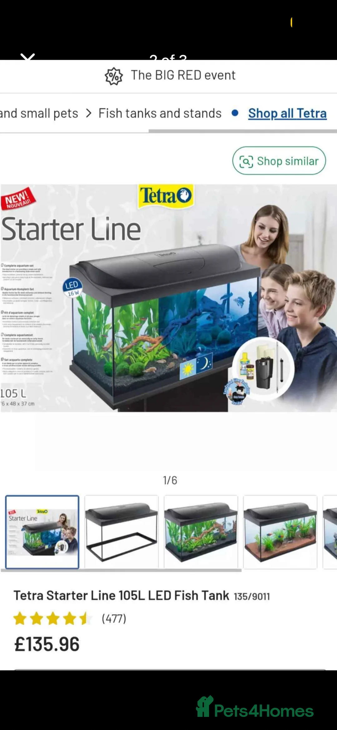 Goldfish fish for sale: Tank and fish  - Advert 2