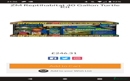 Turtle reptiles for sale: 2 Musk Turtles and 40 gallon tank set up - Image 3