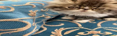 Persian 3