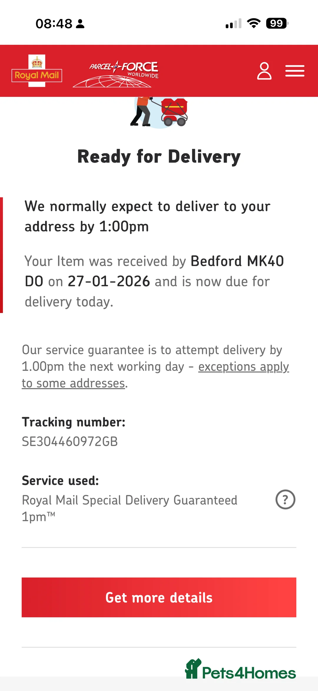 Russian Toy Terrier dogs for sale: Mini Russian toy terrier boy - Advert 4