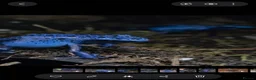 Frog reptiles for sale: Dendrobates tinctorius Azules Dart Frog Tadpoles - Advert 8