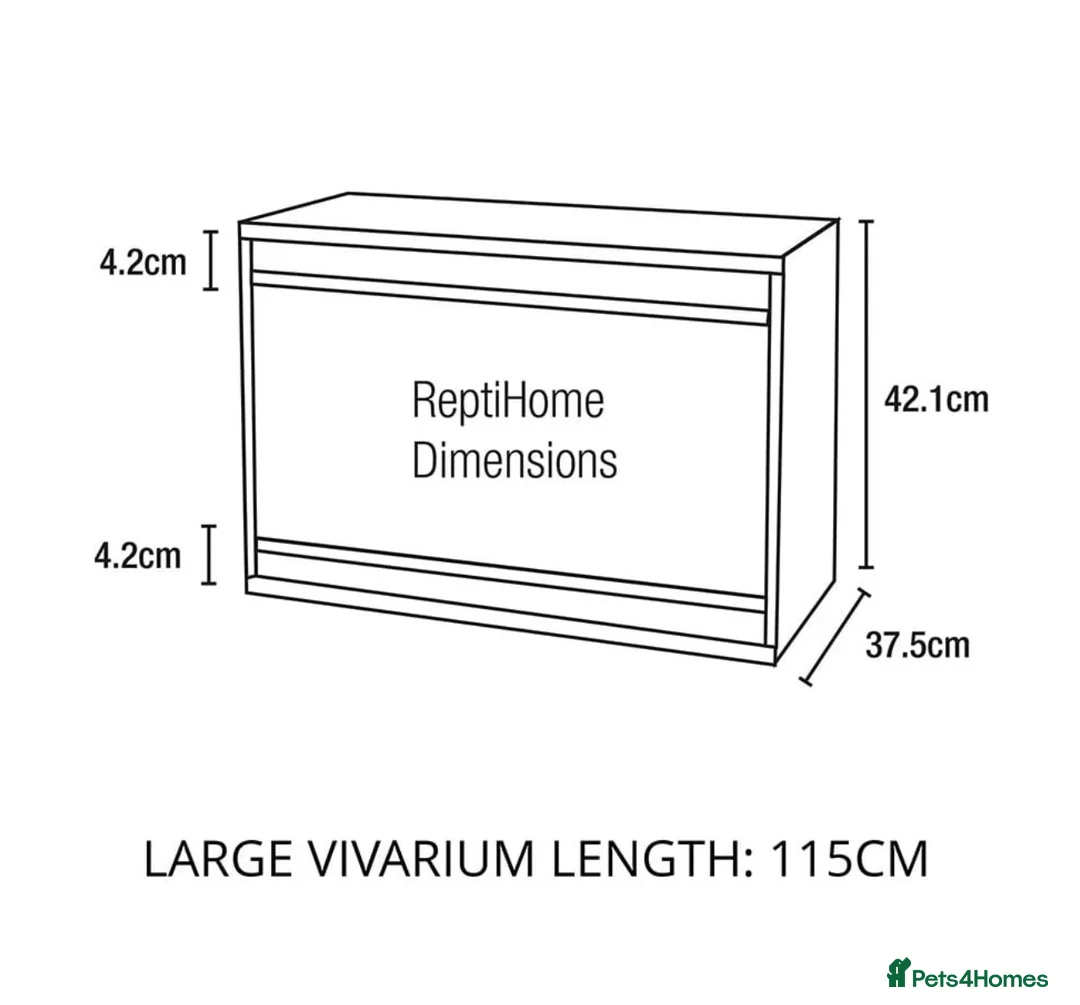 Bearded Dragon reptiles for sale: Vivarium for sale  in London - Advert 1